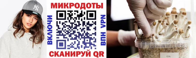Псилоцибиновые грибы Psilocybe  Аткарск 